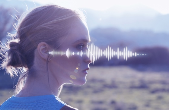 Ensure crystal-clear Voice Quality